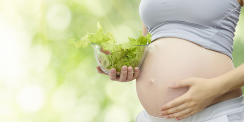 Беременность и вегетарианство: плюсы и минусы